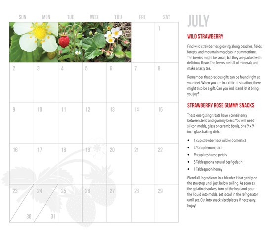 Plant Teachings Wall Calendar